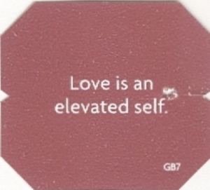 Love is an elevated self